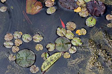 英国新一周实体游戏销量榜 《FIFA23》豪取三连冠